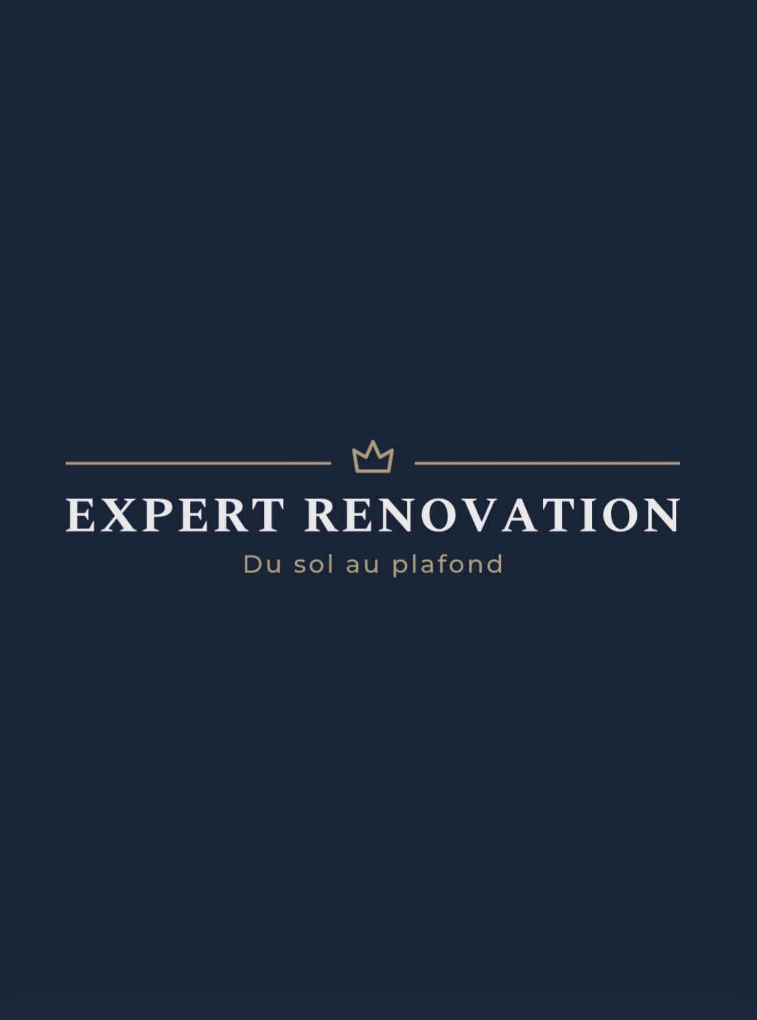 Logo de Expert renovation, société de travaux en Ramonage
