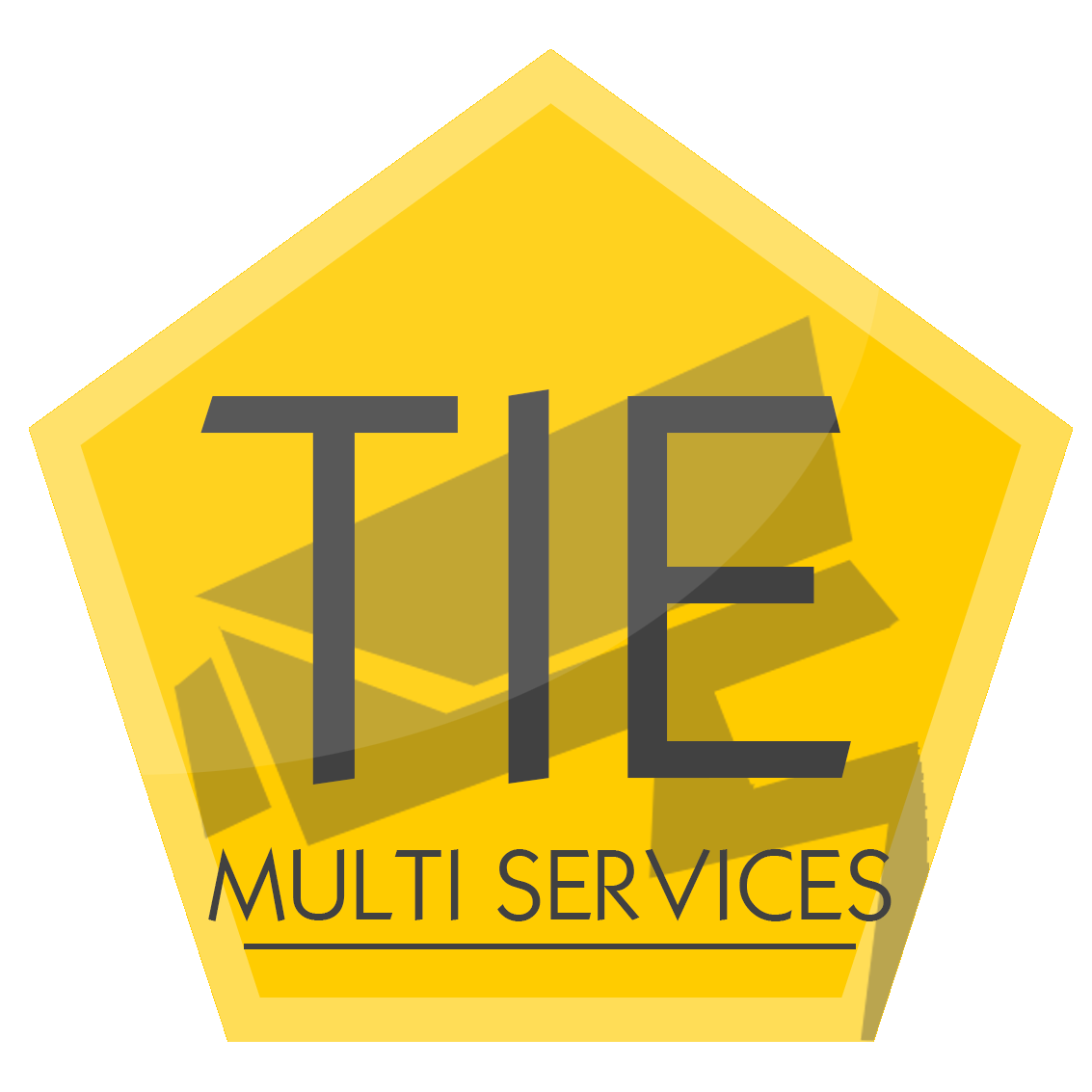 Logo de TIE MS, société de travaux en Construction, murs, cloisons, plafonds