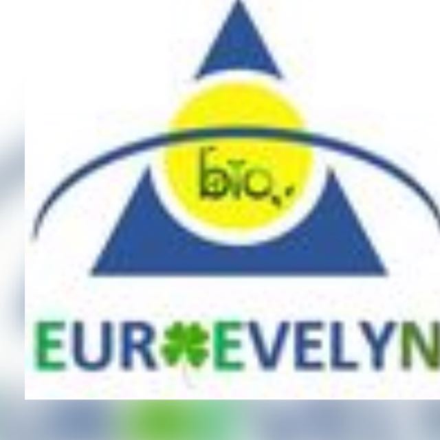 Logo de Euroevelyn, société de travaux en Service à la personne